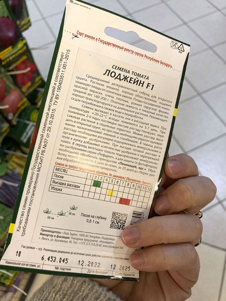 томат Лоджейн F1